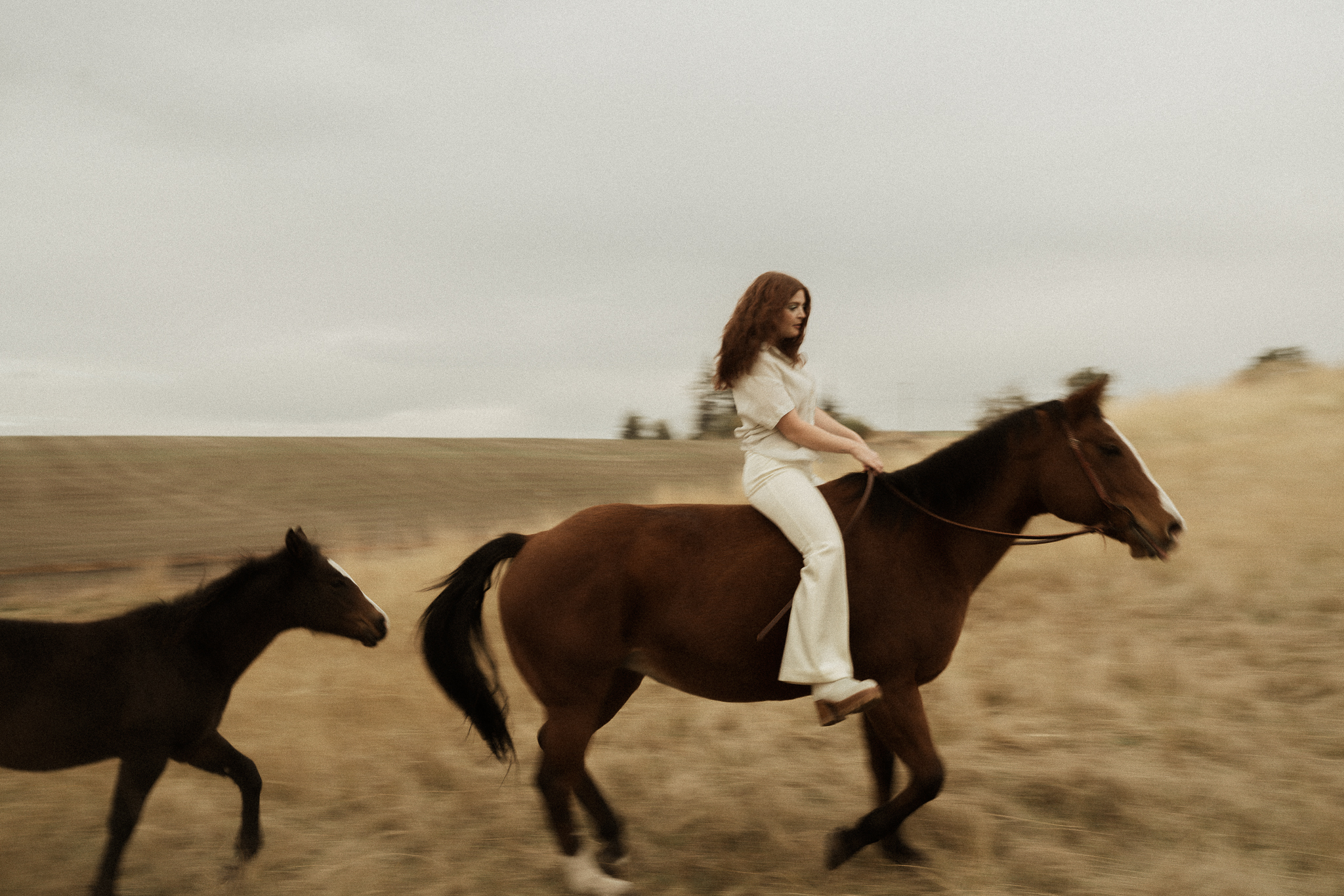 A creative portrait session with horses