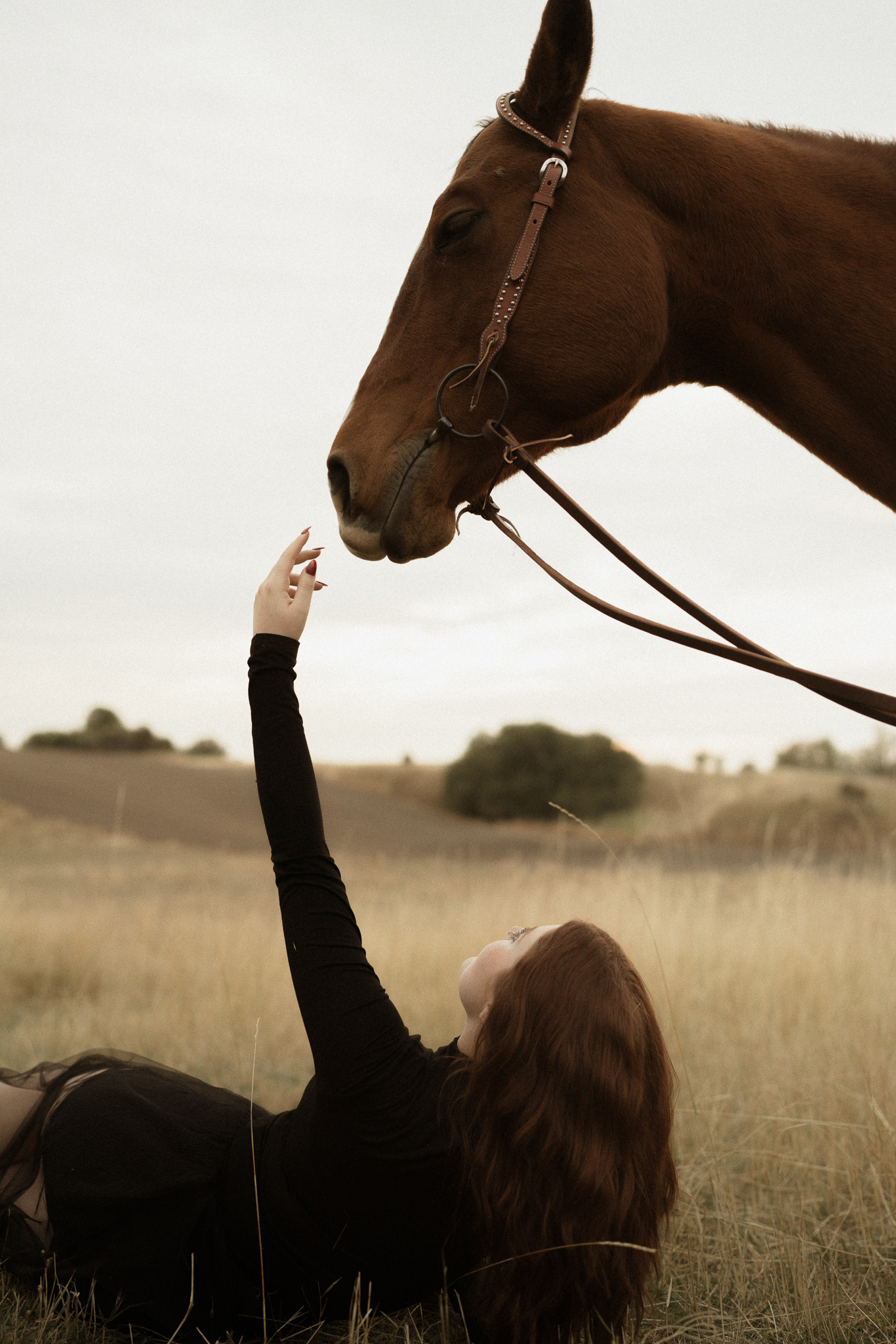 A creative portrait session with horses