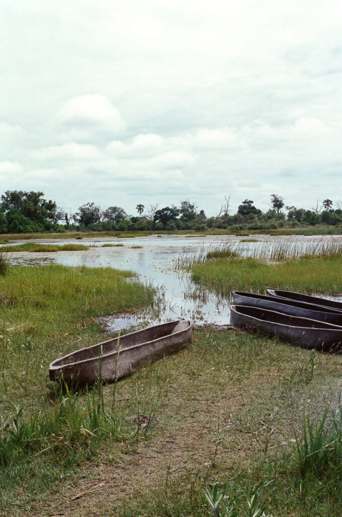 African Adventure on 35 mm film