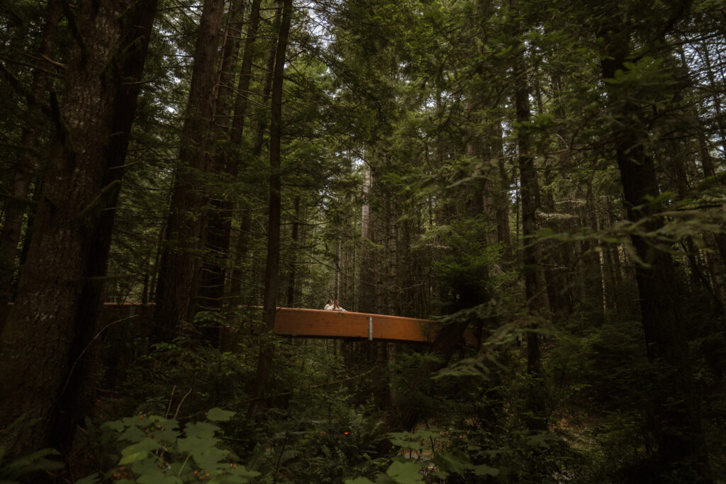Queer intimate Redwoods elopement