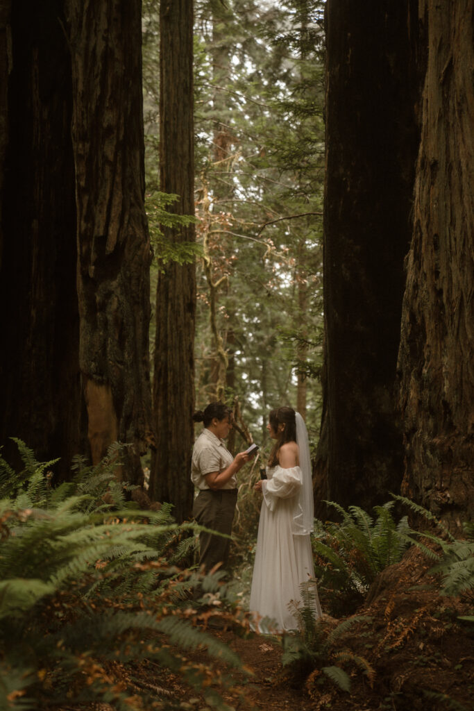 Queer intimate Redwoods elopement