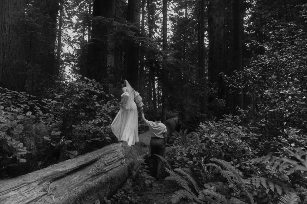 Queer intimate Redwoods elopement