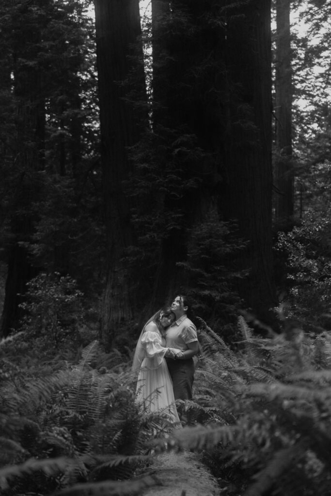 Queer intimate Redwoods elopement